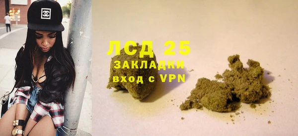 прущие грибы Володарск