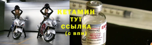 крисы Верея