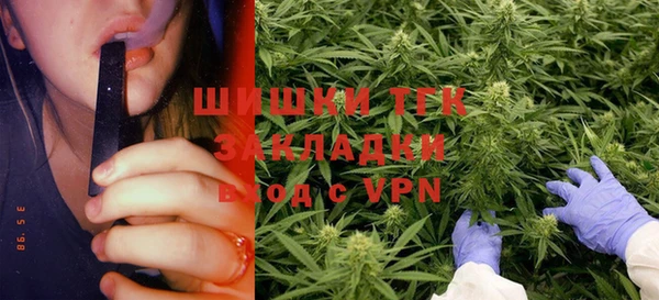 крисы Верея