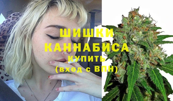 спиды Богородск