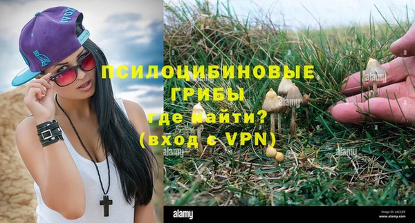 прущие грибы Володарск