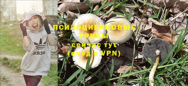 прущие грибы Володарск